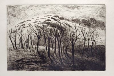 Alberi