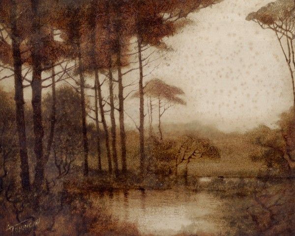 Attr. a Attilio Torresini - Alberi