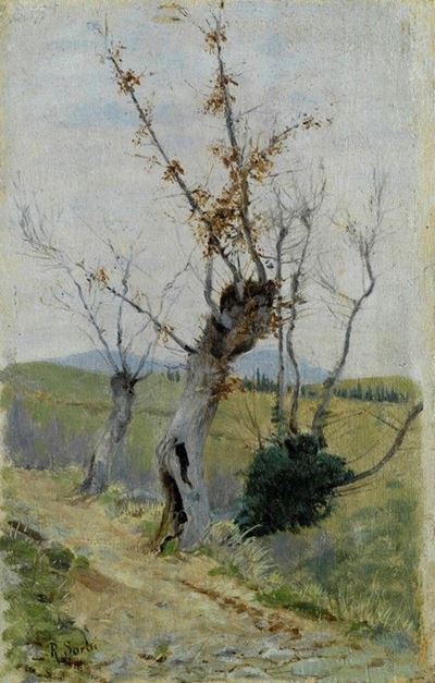 Altipiano al Mattino