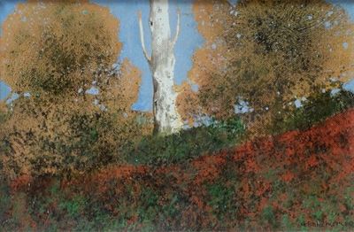 Albero