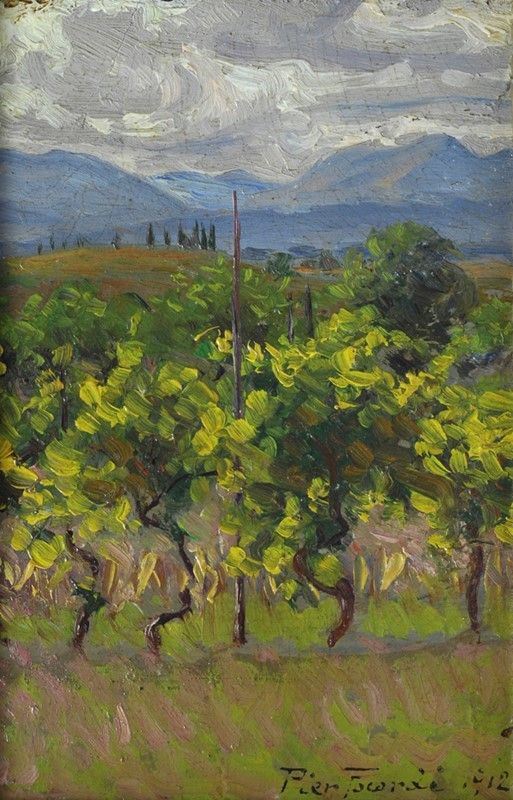 Piero Focardi - Vigneto