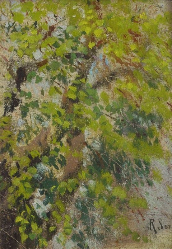 Raffaello Sorbi : Albero  - Olio su tavoletta - Auction Autori dell'800 e 900 - Galleria Pananti Casa d'Aste