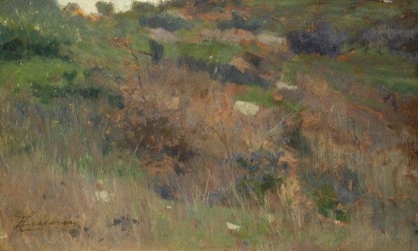 Eugenio Cecconi - Sottobosco