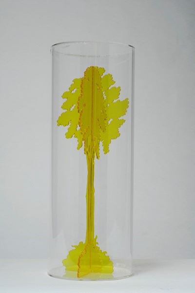 Albero
