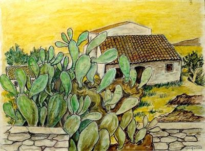 Casa tra Fichi D'india