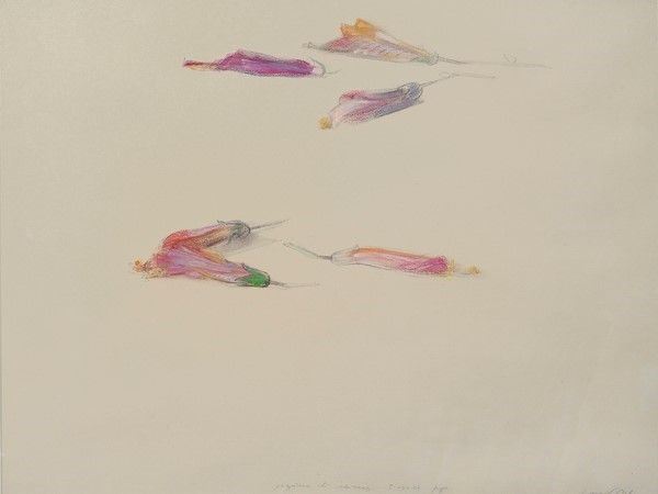 Piero Guccione : Ibiscus  (1978)  - Tecnica mista su carta - Asta Arte Moderna e Contemporanea Grafica ed Edizioni - Galleria Pananti Casa d'Aste