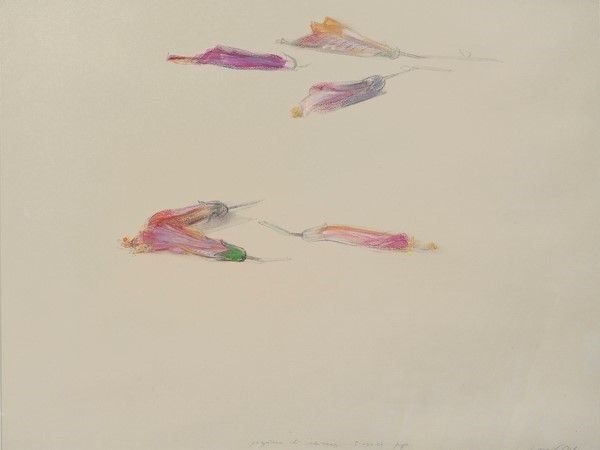 Piero Guccione - Ibiscus
