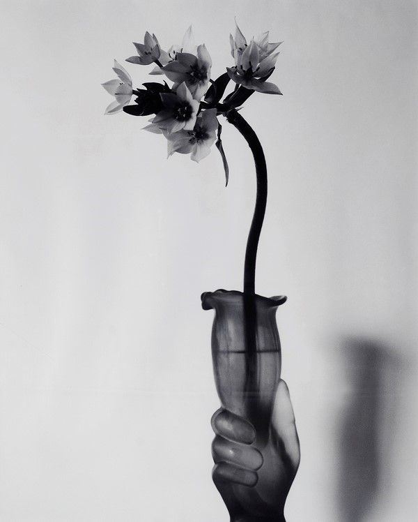 Nobuyoshi Araki - Kain Poppy
