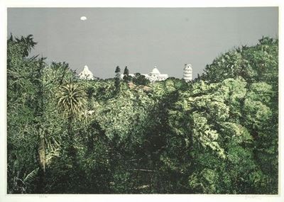 Orto Botanico e Pisa