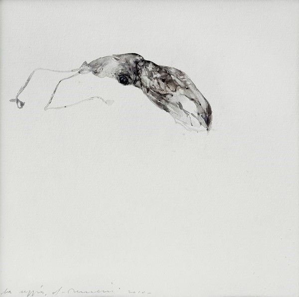 Alessandro Nocentini : La seppia  (2010)  - Acquarello su carta - Asta Artisti per l'UNICEF - Galleria Pananti Casa d'Aste
