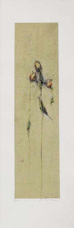 Alessandro Nocentini - Rose