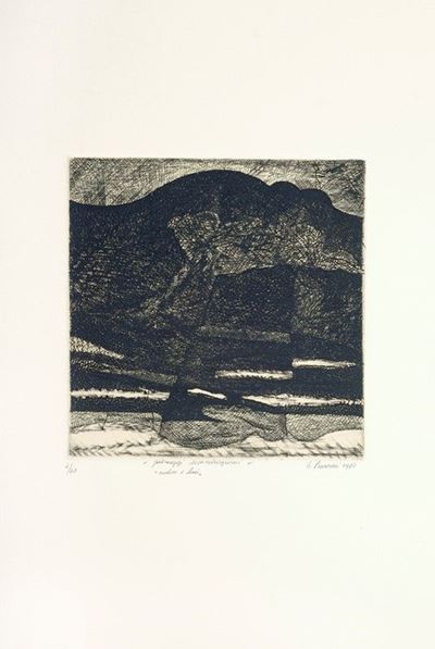 Paesaggi Marchigiani "ombre e Luci"