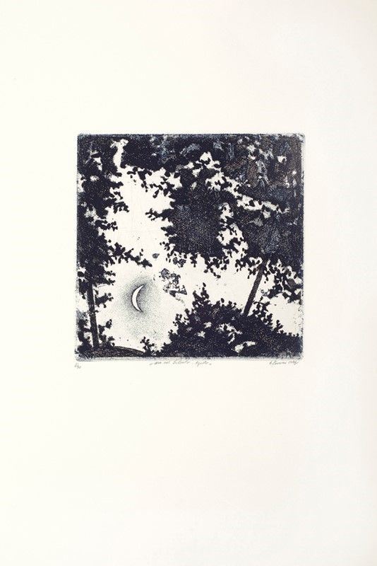 Guido Pinzani : Sera nel cilento: agosto  (1996)  - Acquaforte - Auction Artisti per l'UNICEF - Galleria Pananti Casa d'Aste