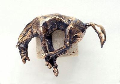 Cavallo Caduto