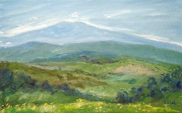 Grazia Tomberli : L'Amiata in lontananza  - Olio su tela - Asta Artisti per l'UNICEF - Galleria Pananti Casa d'Aste