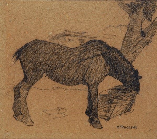 Mario Puccini : Cavallino  ((1914 circa))  - Carboncino su cartone - Asta Autori dell'800-900, Arte Moderna e Contemporanea, Grafica ed Edizioni - Galleria Pananti Casa d'Aste