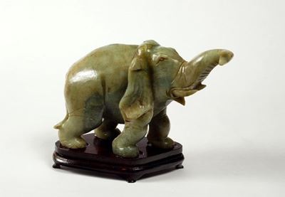 Elefante