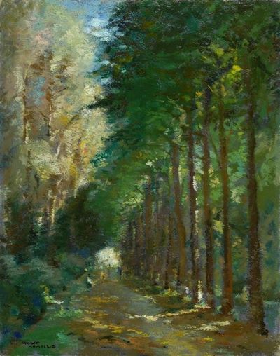 Viale dei Tigli (viareggio)