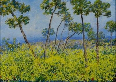 Paesaggio con Ginestre