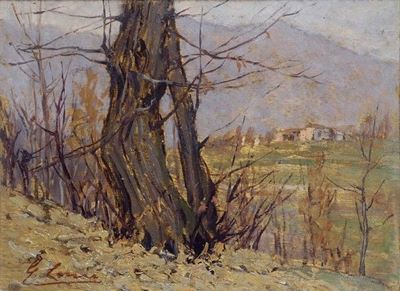 Alberi
