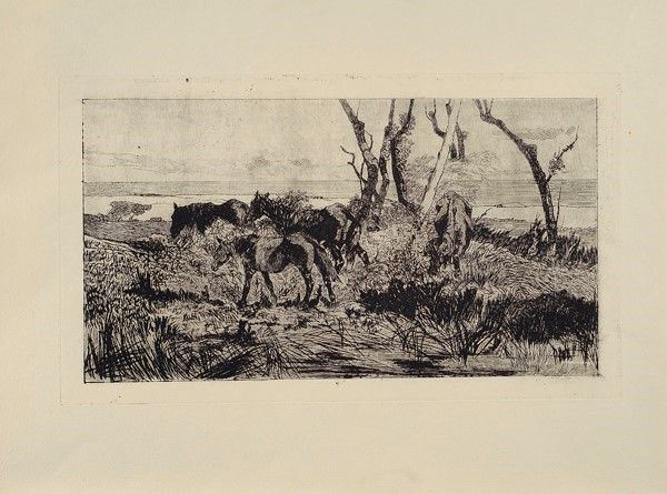Giovanni Fattori - Pascolo di Cavalli