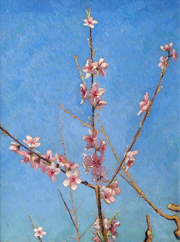 Valentino Ghiglia - Fiori di pesco