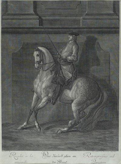 Cavallo al Maneggio