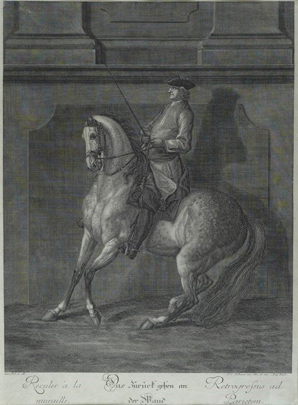 Cavallo al Maneggio