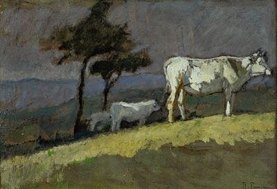 Bovini al Pascolo