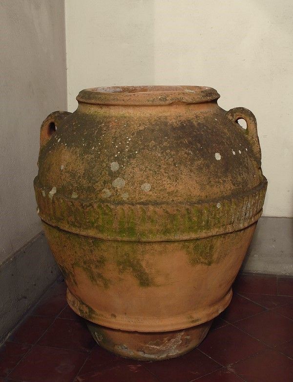 Orcio