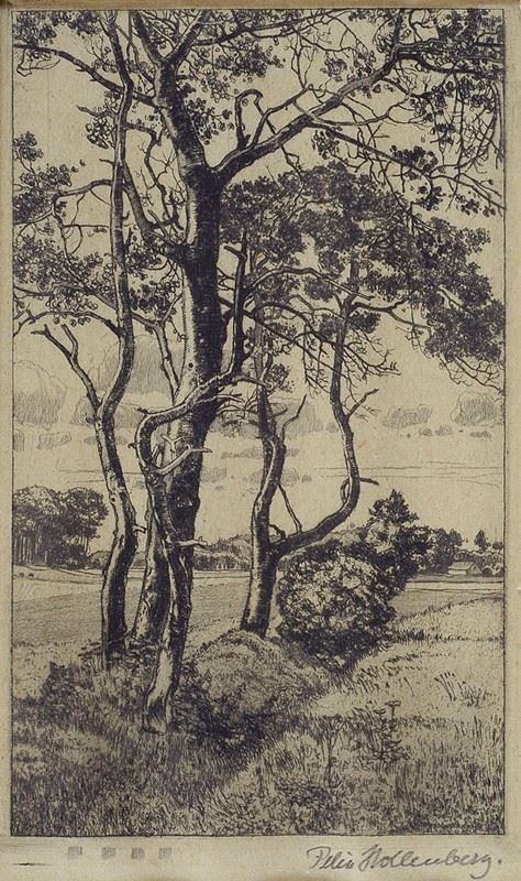 Felix Hollenberg - Trees