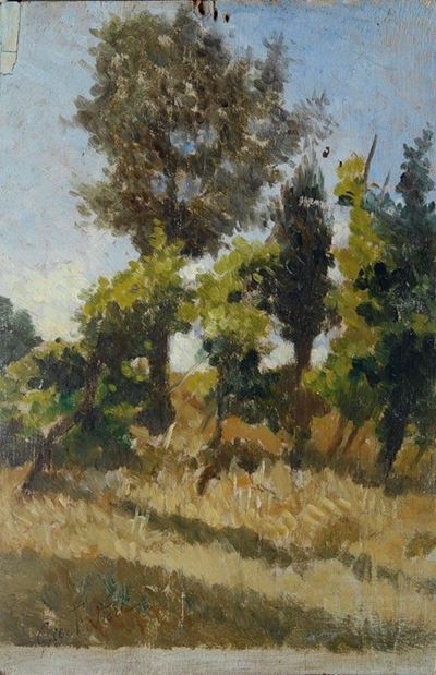 Alberi e Grano
