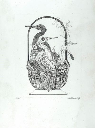Cesta con Cicogne
