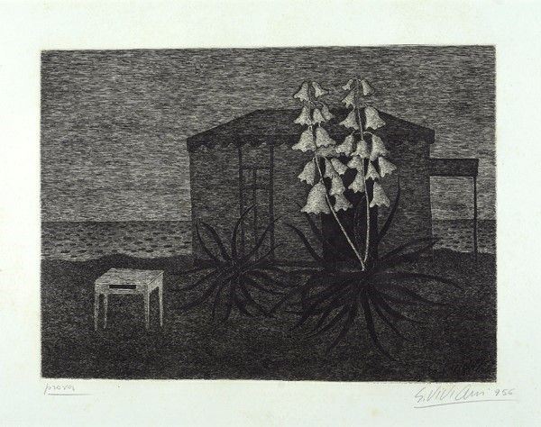 Giuseppe Viviani - Agave e cabina