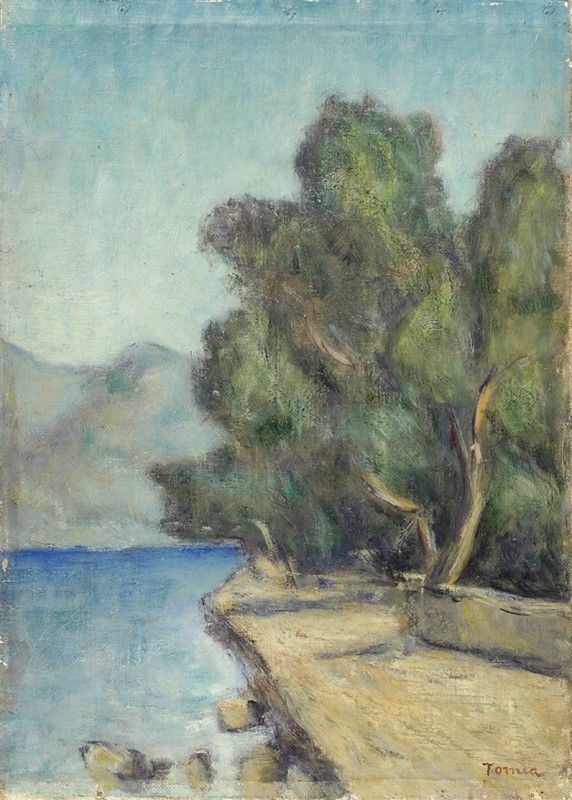 Fiorenzo Tomea - Lago di Iseo