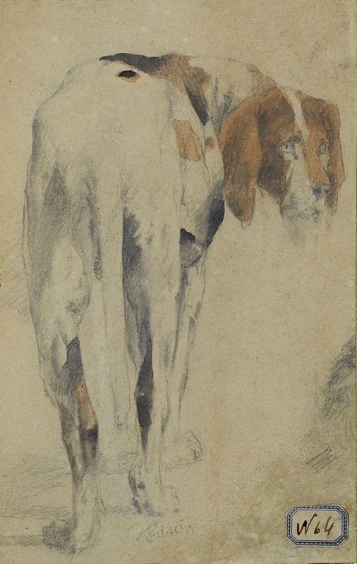 Filippo Palizzi - Cane