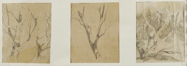 Attr a Rubaldo Merello : Tre studi di alberi  - Matita su carta - Auction Arte Contemporanea, Grafica ed Edizioni - I - Galleria Pananti Casa d'Aste