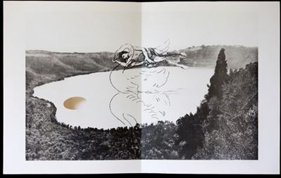 L'exil Du Cigne