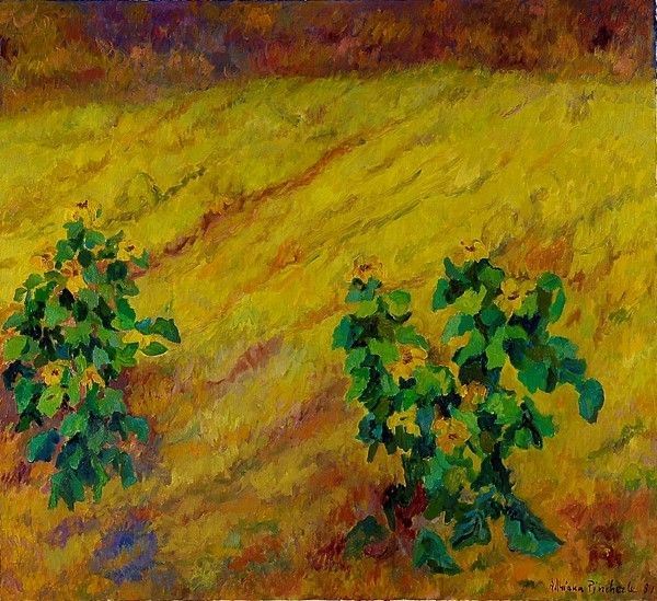 Adriana Pincherle : Campo di grano  (1989)  - Olio su tela - Auction Autori dell'800-900, Arte Moderna e Contemporanea, Grafica ed Edizioni - Galleria Pananti Casa d'Aste