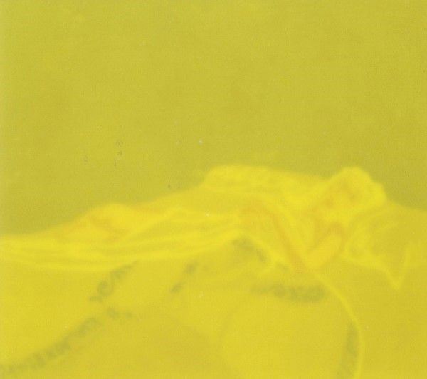 Francesco Sena : A letto  (2003)  - Plastilina e cera su tavola - Asta Autori dell'800-900, Arte Moderna e Contemporanea, Grafica ed Edizioni - Galleria Pananti Casa d'Aste