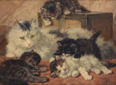 Gattini