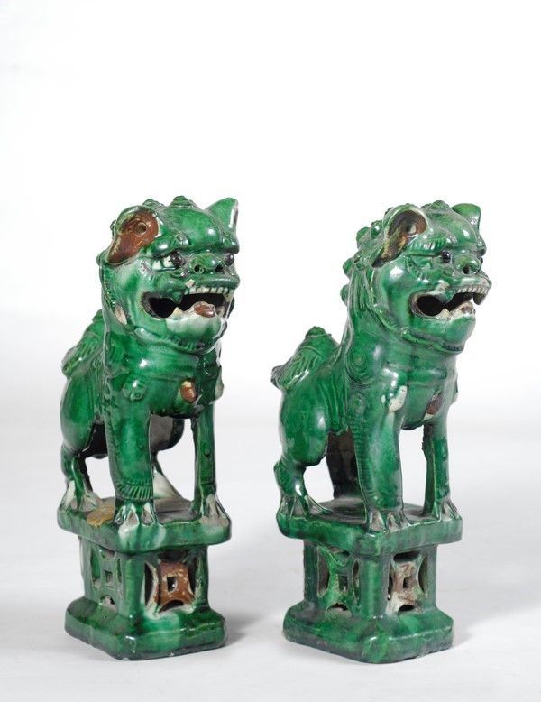 Coppia di cani Pho