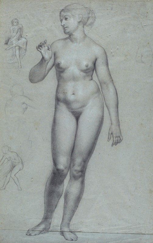 Anonimo, XIX sec. - Nudo di donna