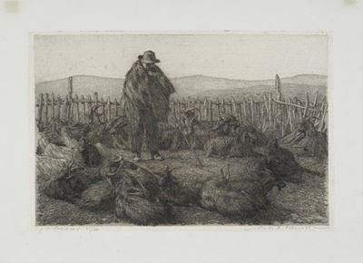 Il Capraio