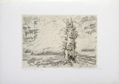 La Fine del Bosco