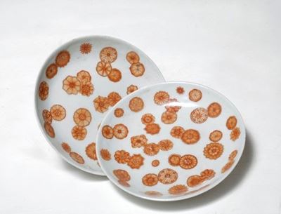 Coppia di Piattini