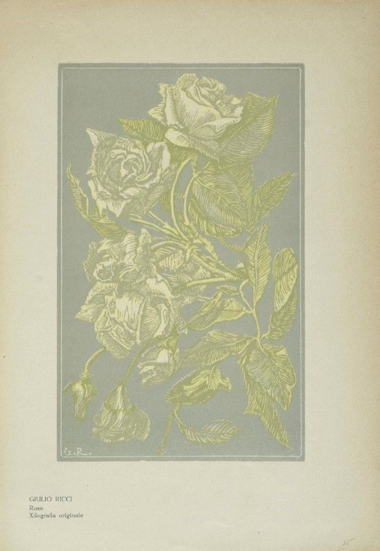 Giulio Ricci - Rose