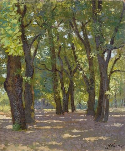 Cascine