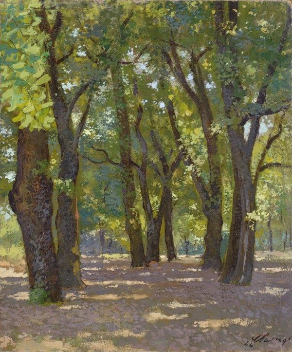 Carlo Passigli - Cascine
