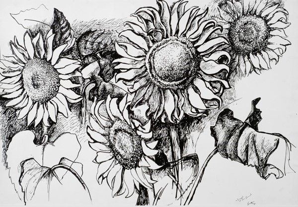Renato Guttuso - Girasoli